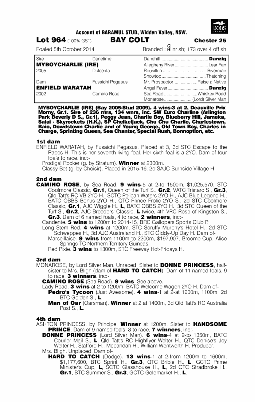 Myboycharlie (IRE) / Enfield Waratah (AUS) - pedigree