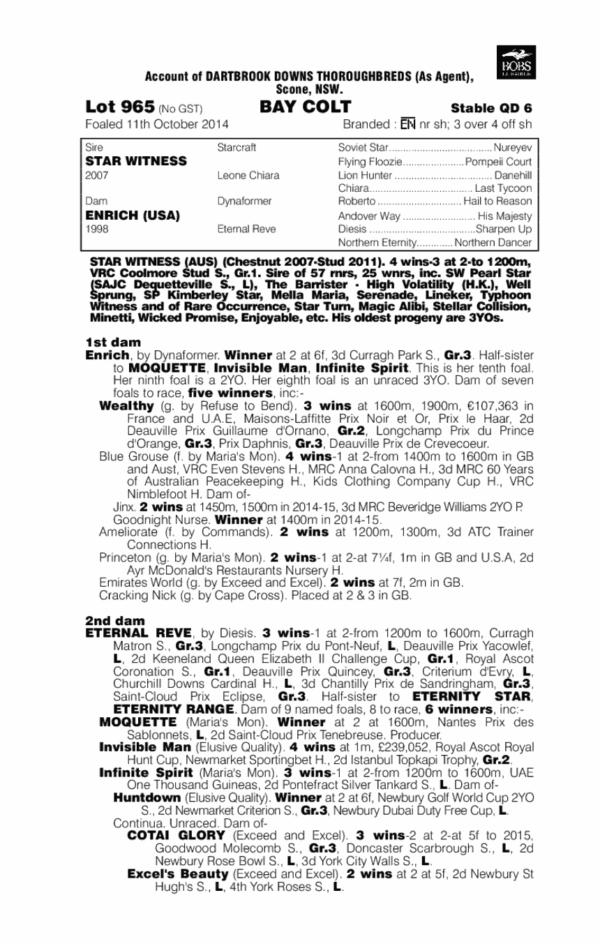 Star Witness (AUS) / Enrich (USA) - pedigree
