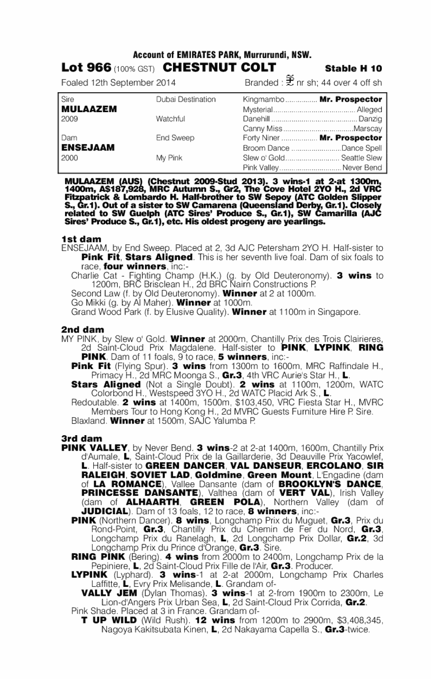 Mulaazem (AUS) / Ensejaam (AUS) - pedigree