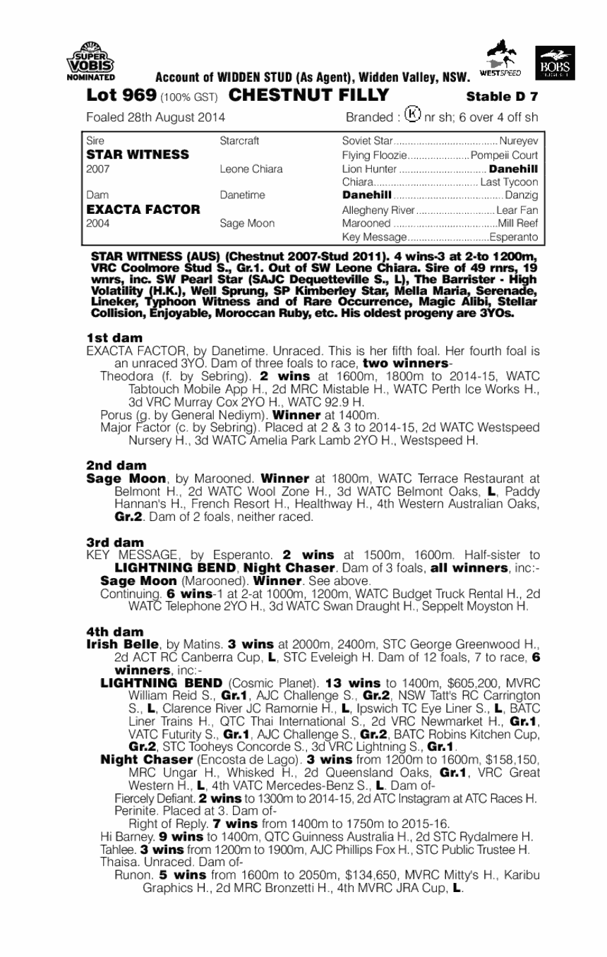 Star Witness (AUS) / Exacta Factor (AUS) - pedigree