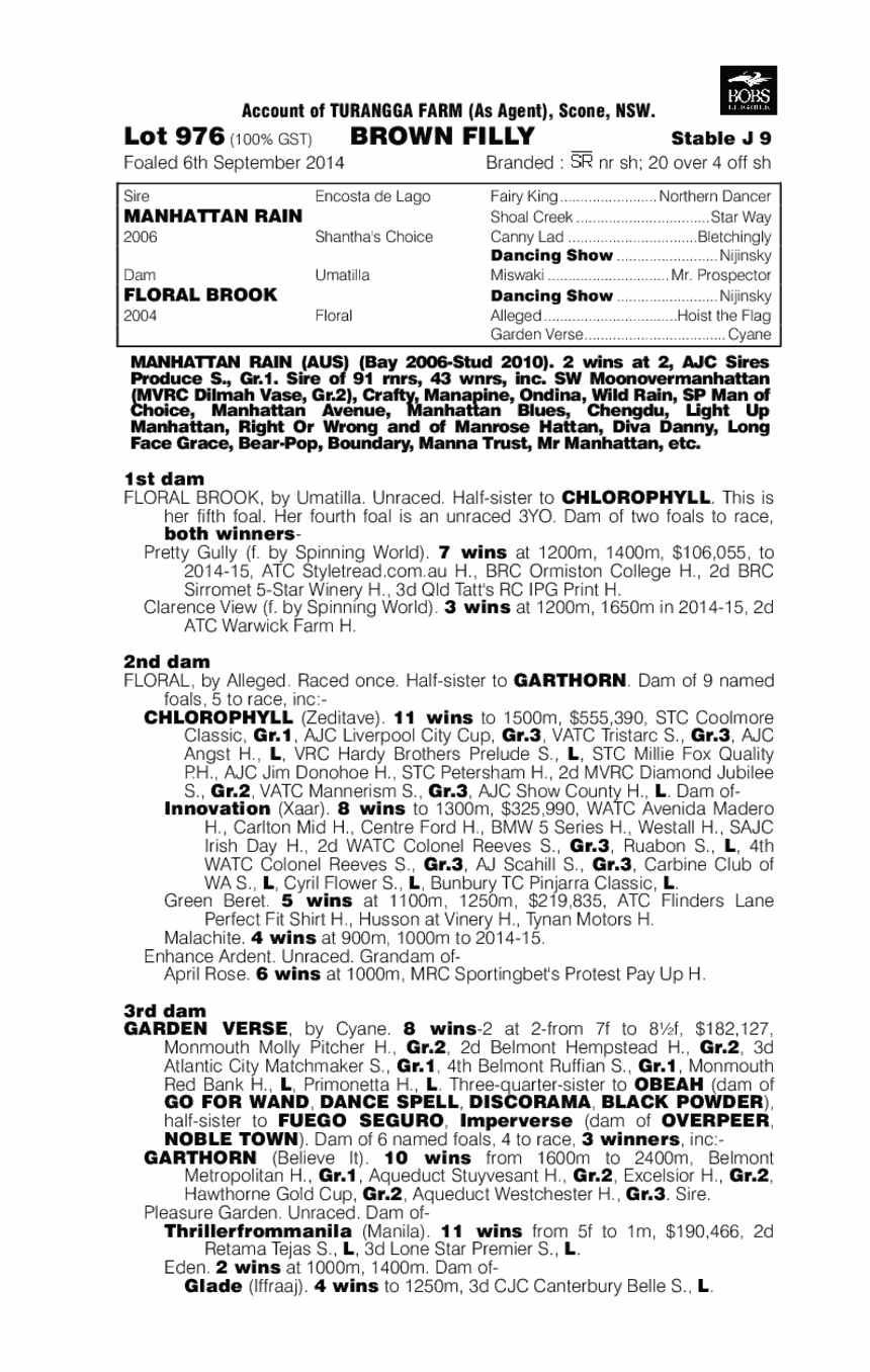 Manhattan Rain (AUS) / Floral Brook (AUS) - pedigree