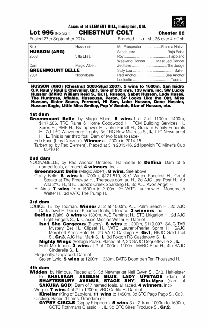 Husson (ARG) / Greenmount Belle (AUS) - pedigree