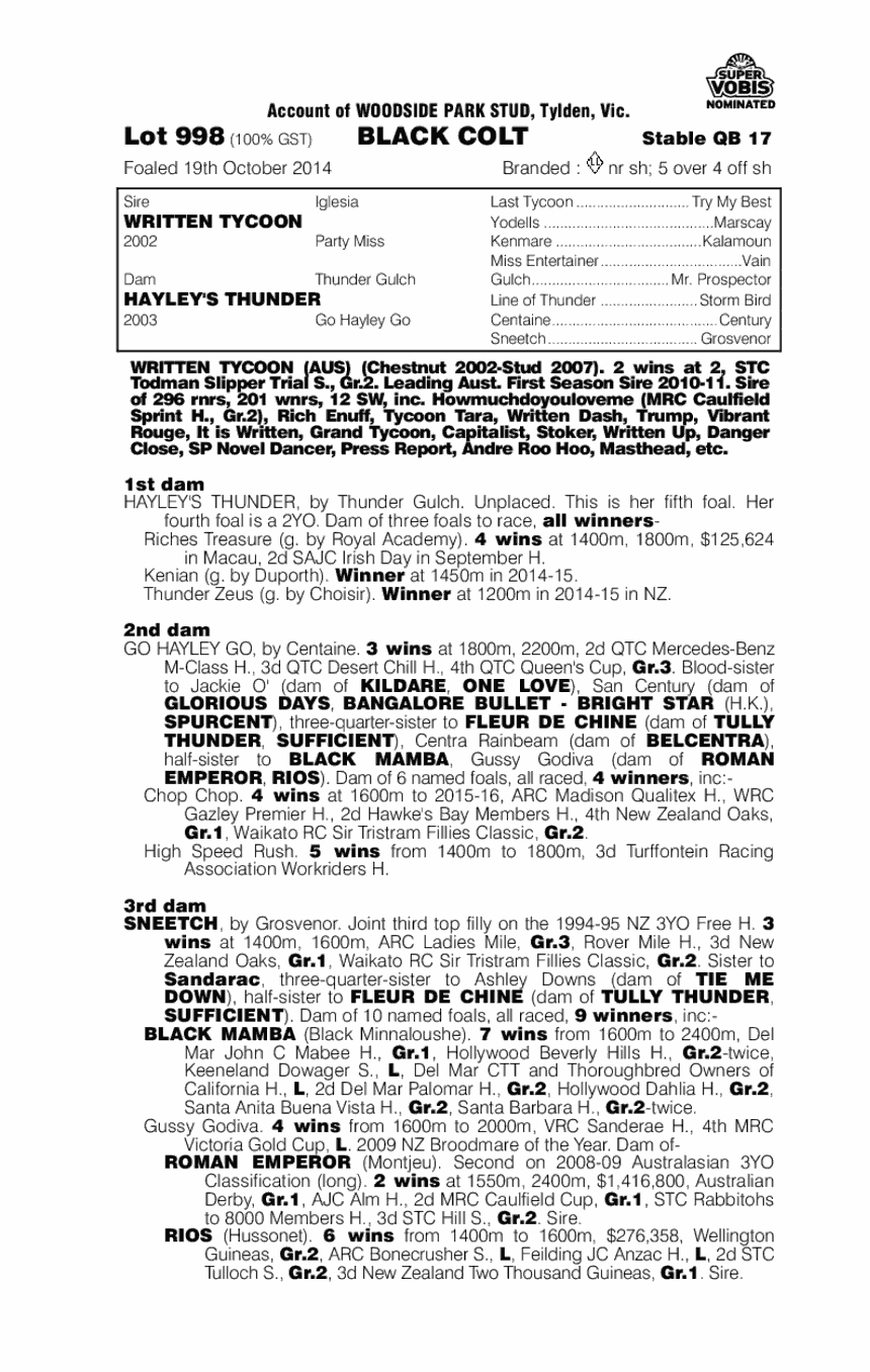 Written Tycoon (AUS) / Hayley's Thunder (AUS) - pedigree