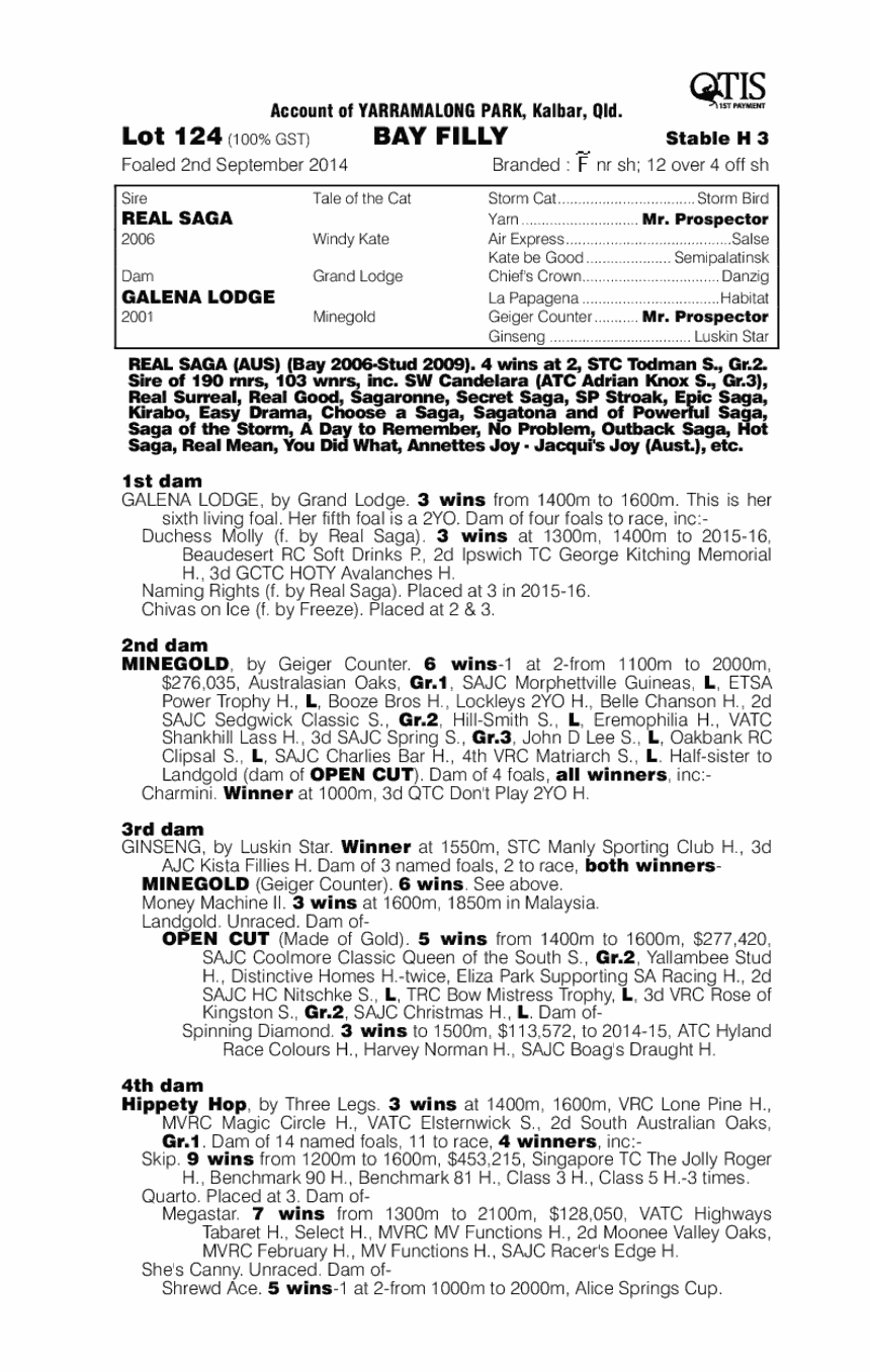 Real Saga (AUS) / Galena Lodge (AUS) - pedigree