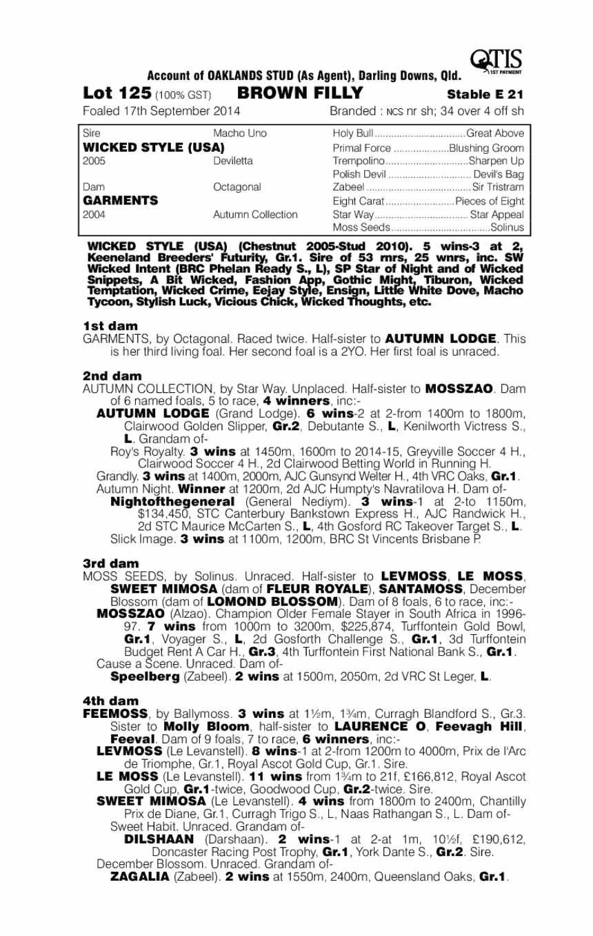 Wicked Style (USA) / Garments (AUS) - pedigree