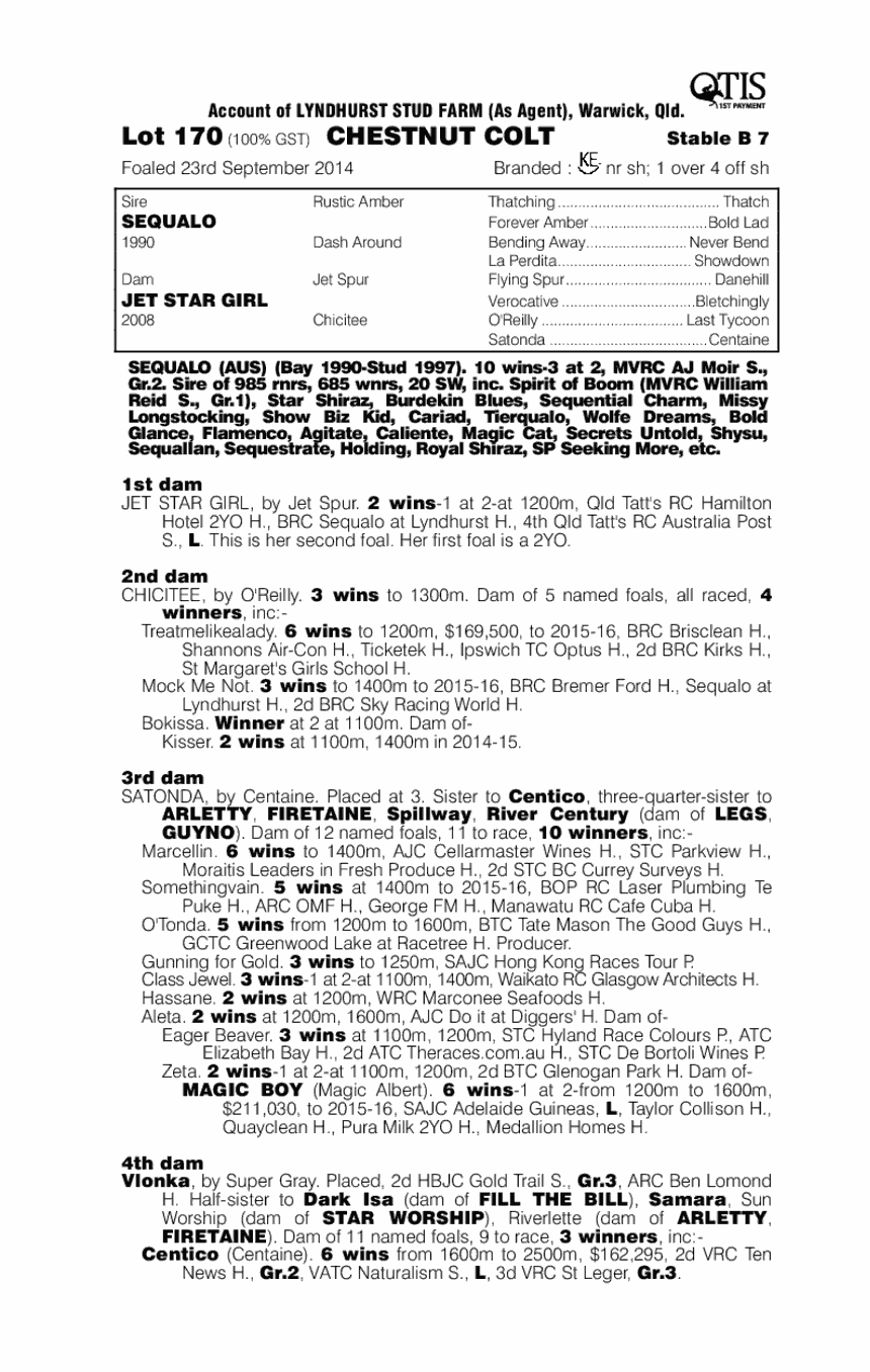 Sequalo (AUS) / Jet Star Girl (AUS) - pedigree