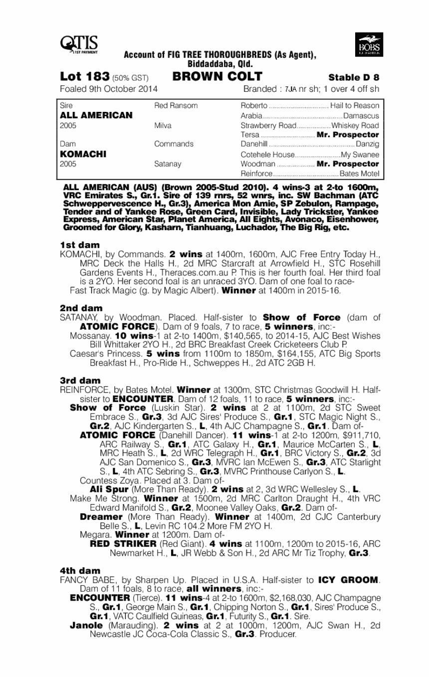 All American (AUS) / Komachi (AUS) - pedigree