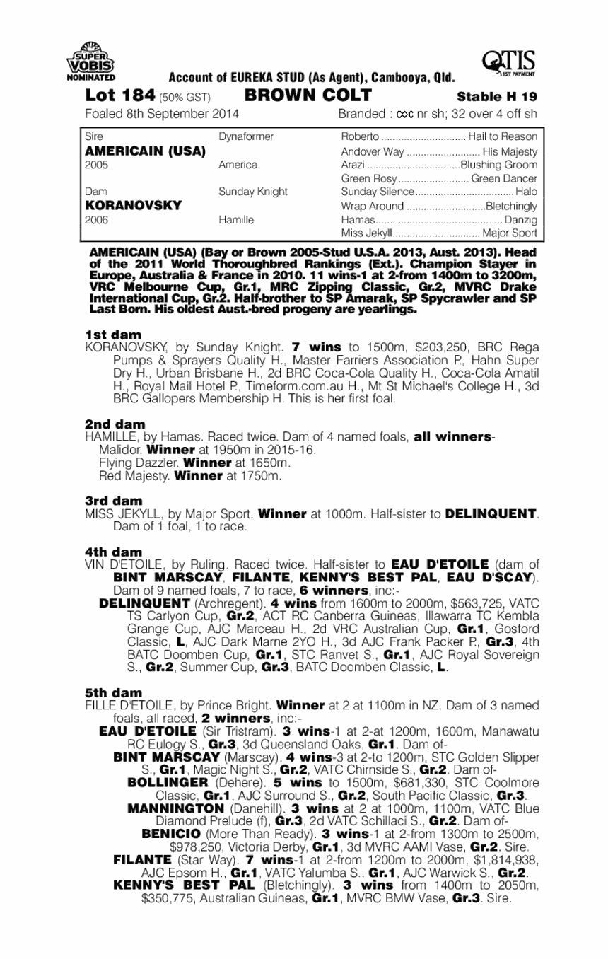Americain (USA) / Koranovsky (AUS) - pedigree