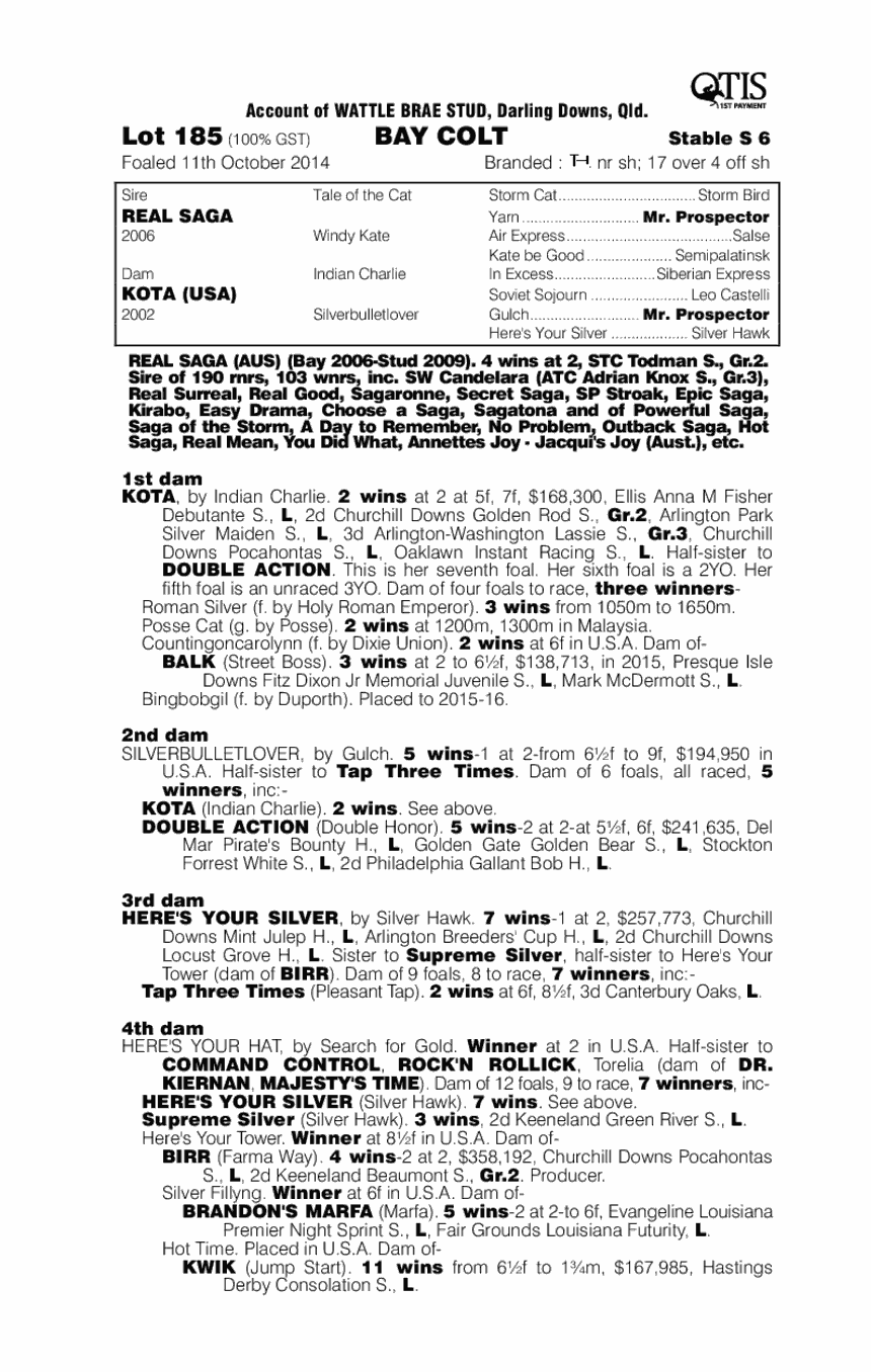 Real Saga (AUS) / Kota (USA) - pedigree