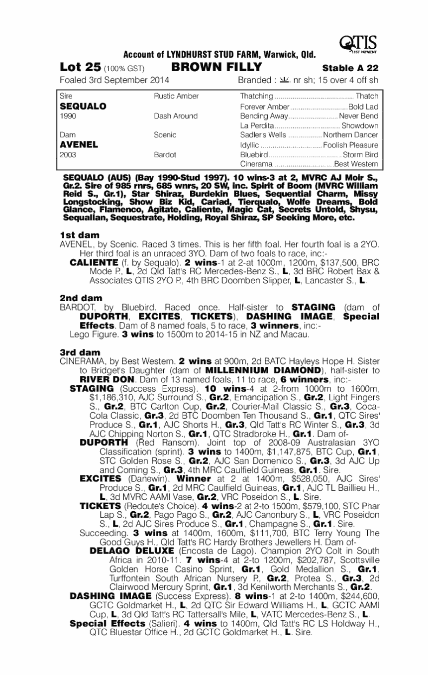 Sequalo (AUS) / Avenel (AUS) - pedigree