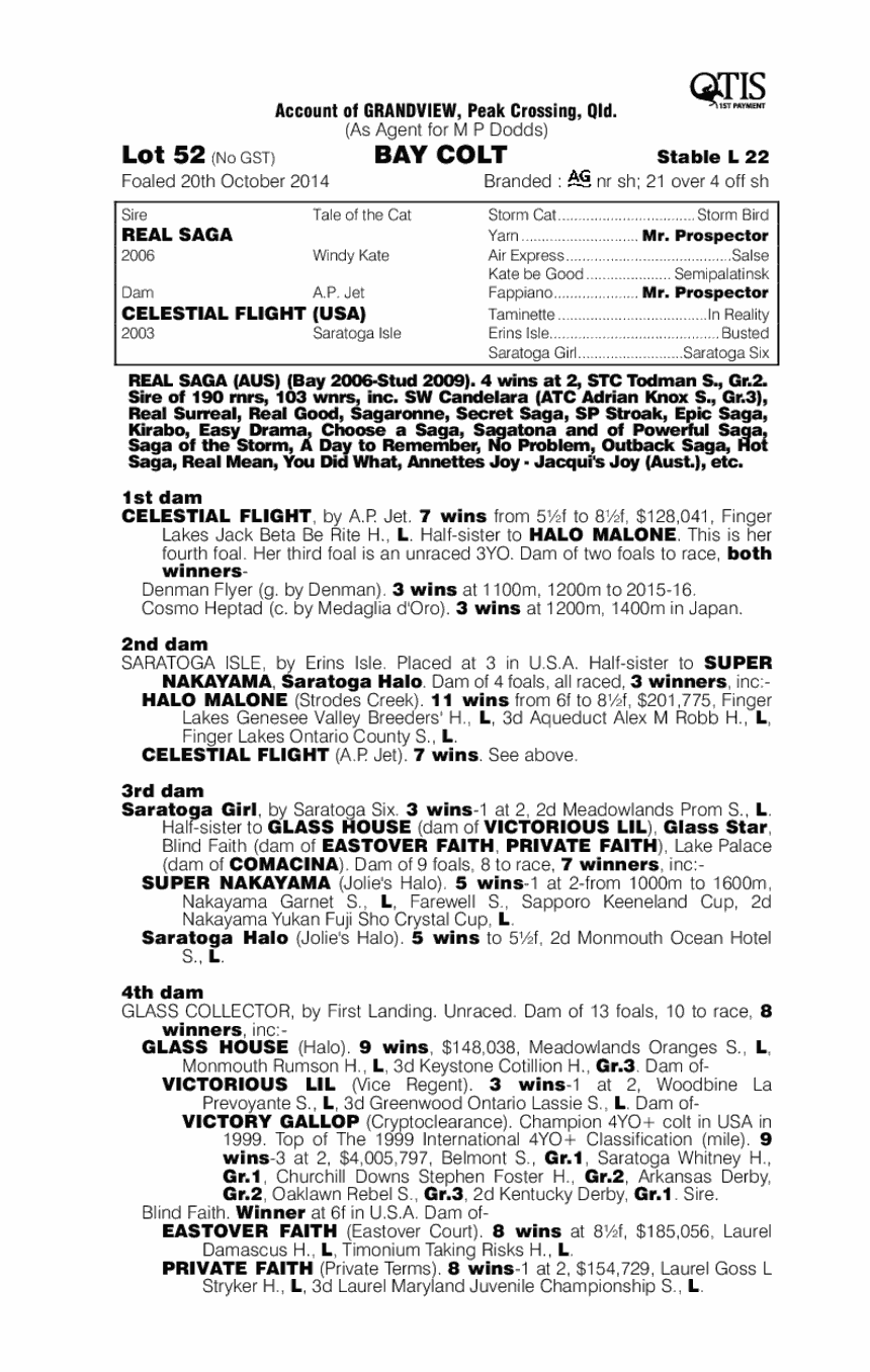 Real Saga (AUS) / Celestial Flight (USA) - pedigree