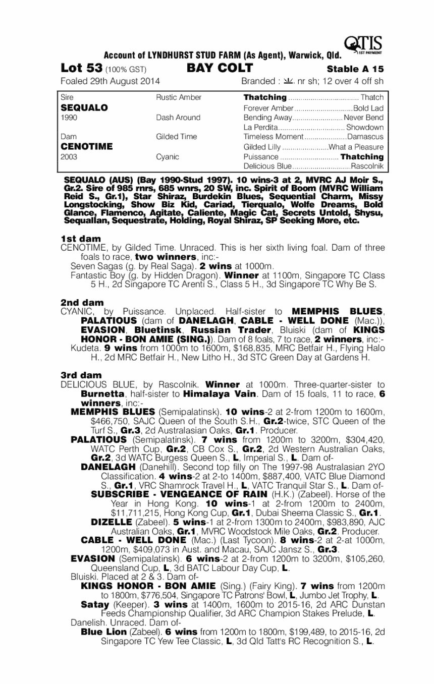 Sequalo (AUS) / Cenotime (AUS) - pedigree