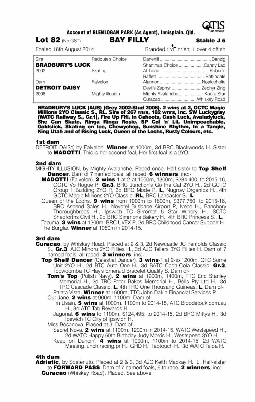 Bradbury's Luck (AUS) / Detroit Daisy (AUS) - pedigree