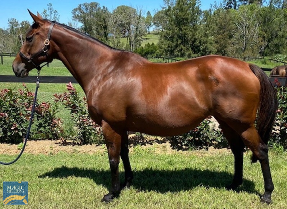 Victory Grand (AUS) - Image 4