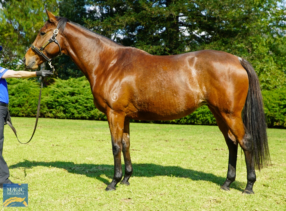 Farlingaye (AUS) - Image 1