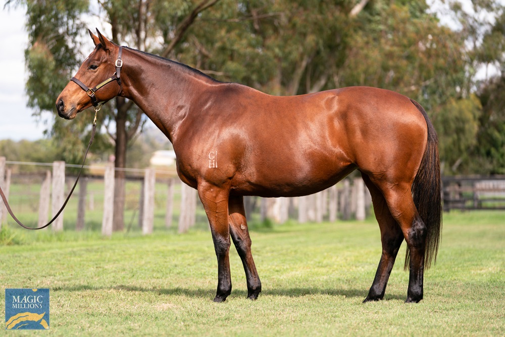 Impressive Image (AUS) - Image 1
