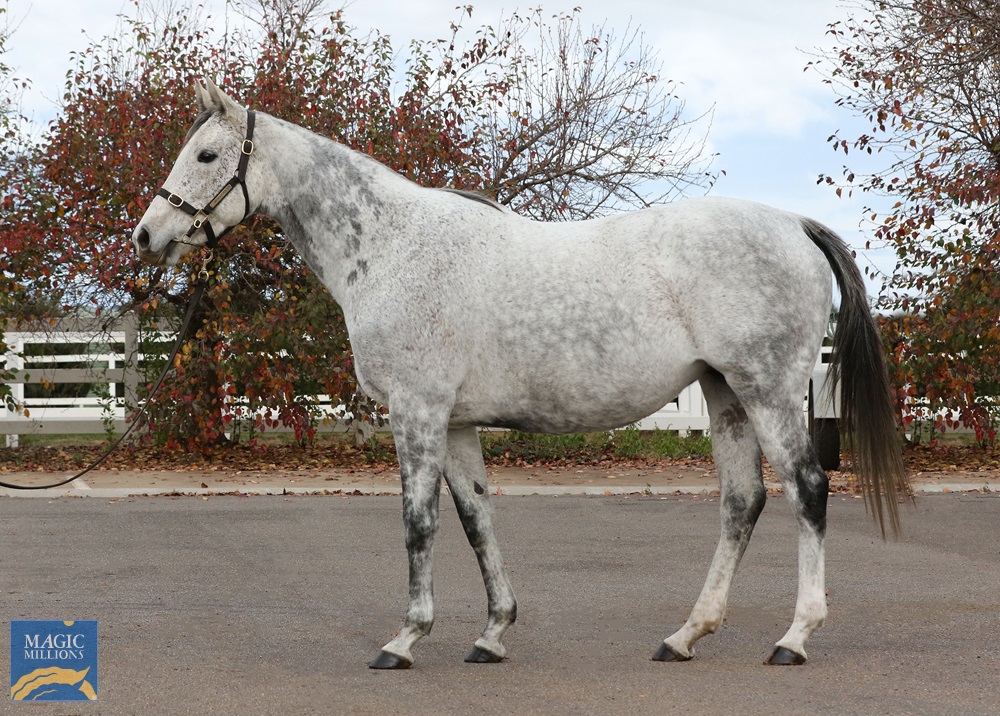 Kutina (FR) - Image 1