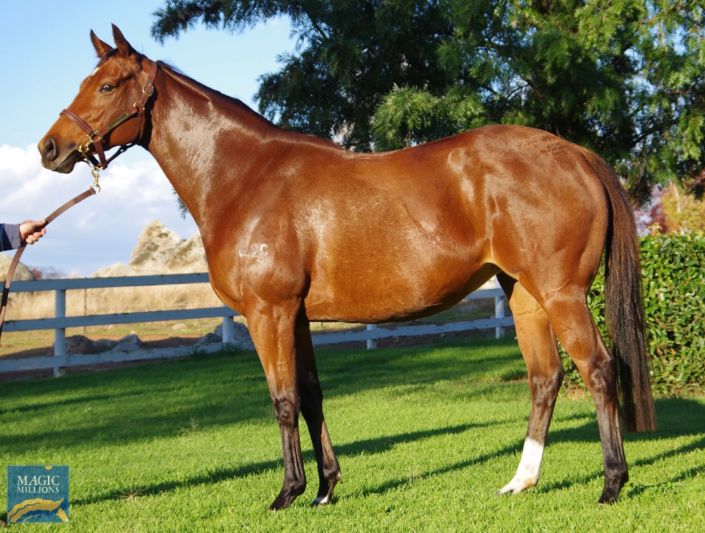 Outlaw Miss (AUS) - Image 1