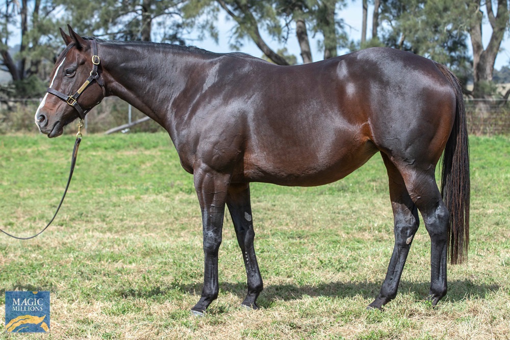 River Light (USA) - Image 1