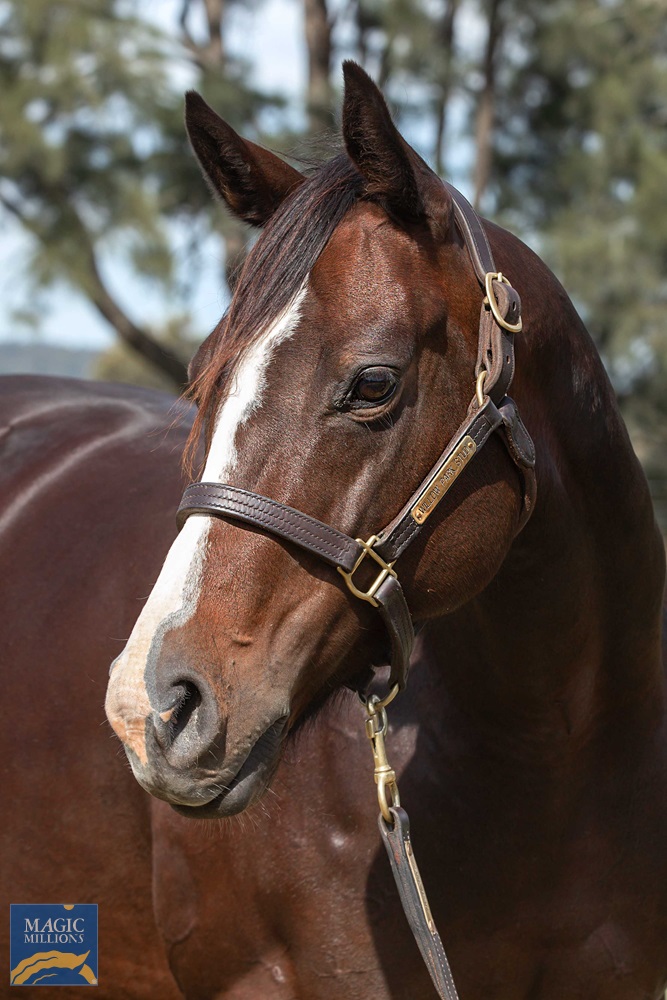 River Light (USA) - Image 2