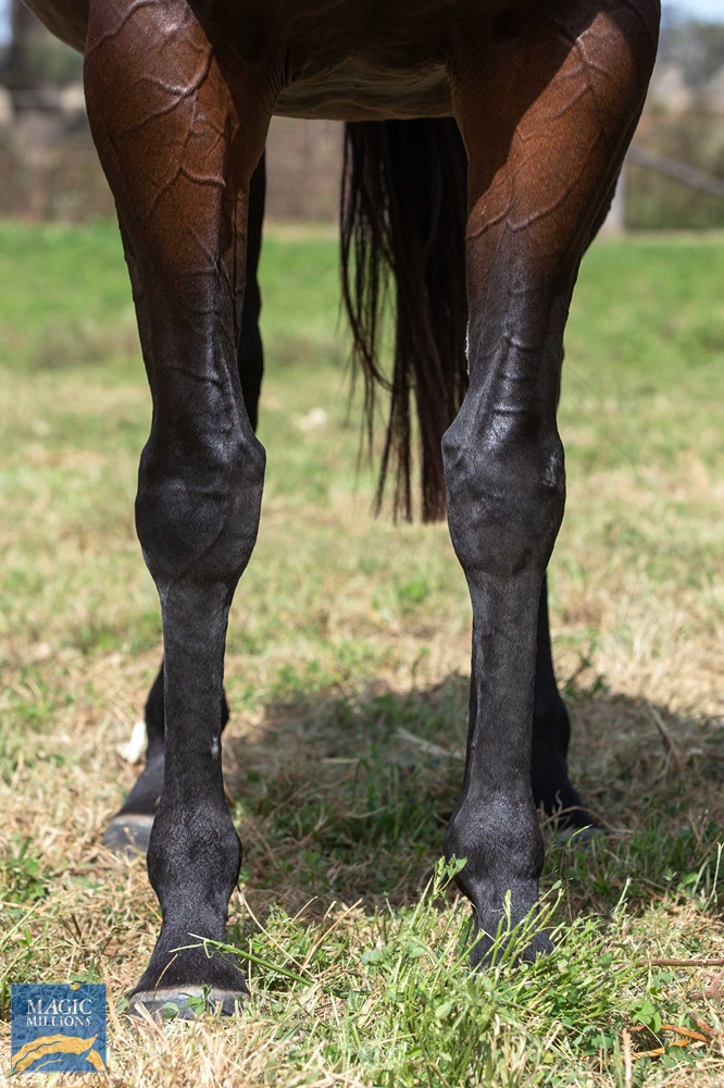 River Light (USA) - Image 3