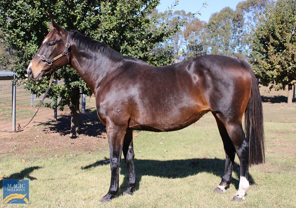 Rosa Perlato (AUS) - Image 1