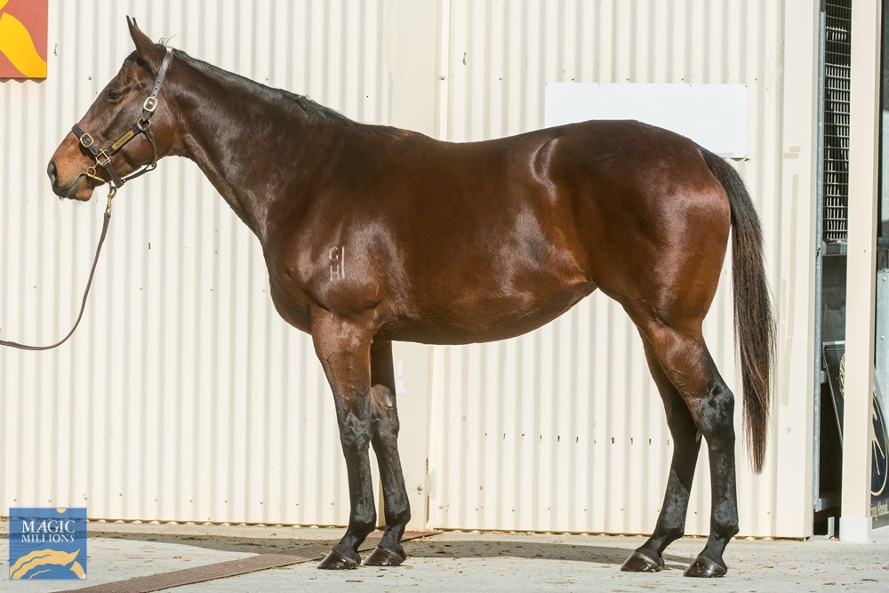 Irish Goodbye (AUS) - Image 1