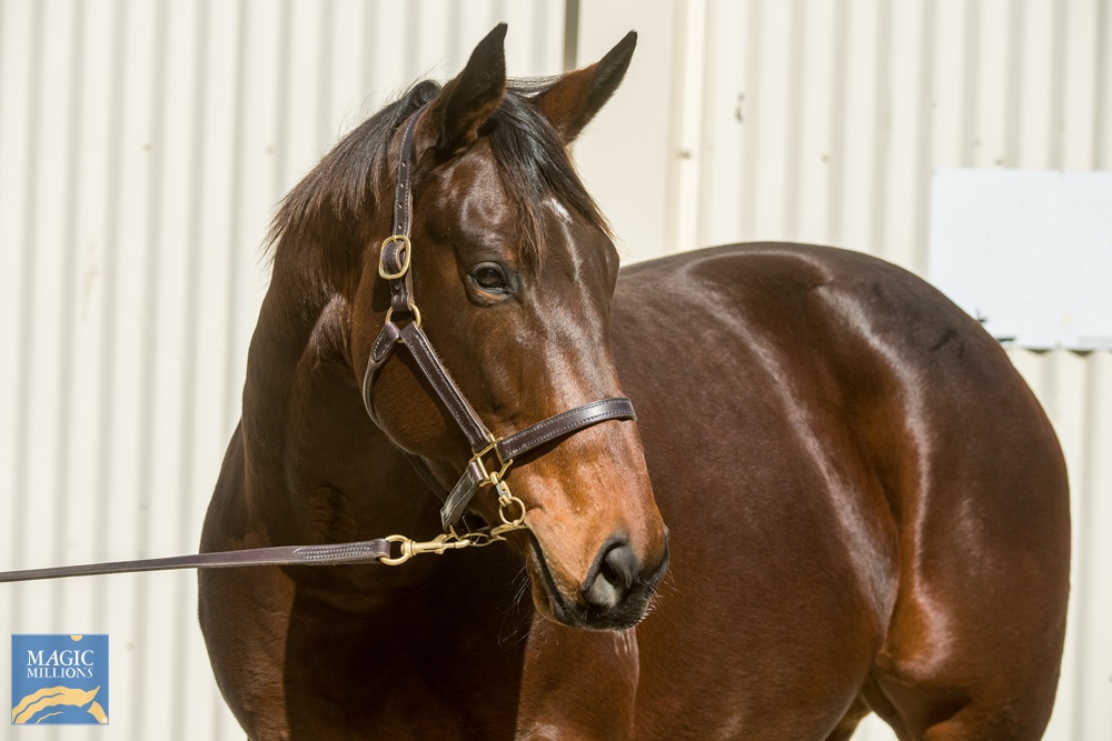 Irish Goodbye (AUS) - Image 2