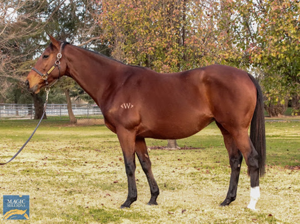 Falika (NZ) - Image 1