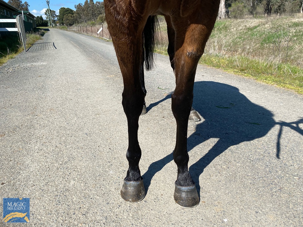 Talihina (AUS) - Image 4