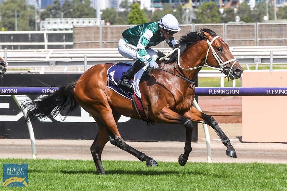 Tagaloa (AUS) - Image 1