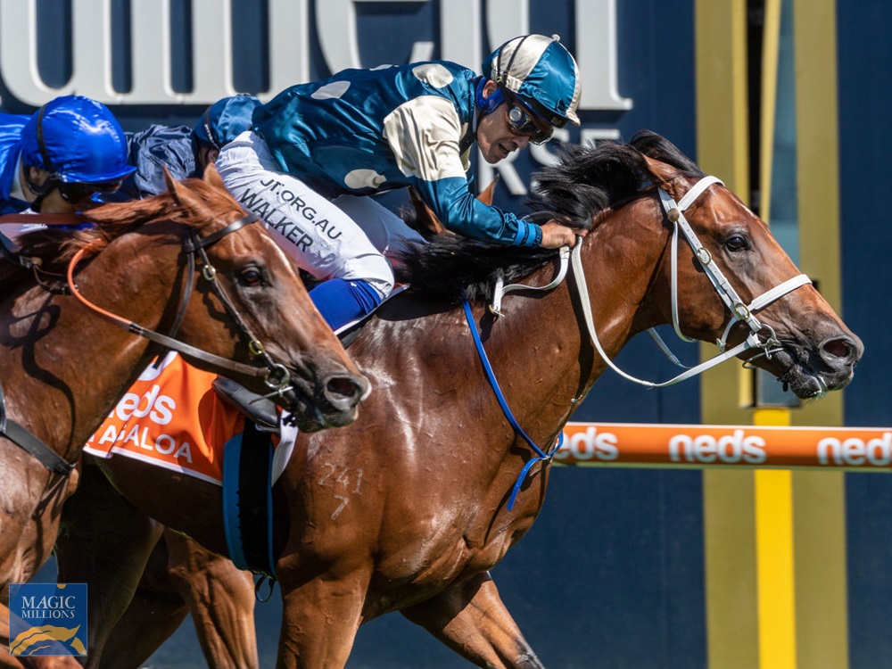 Tagaloa (AUS) - Image 1