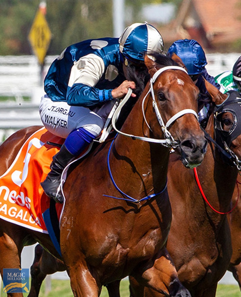 Tagaloa (AUS) - Image 3