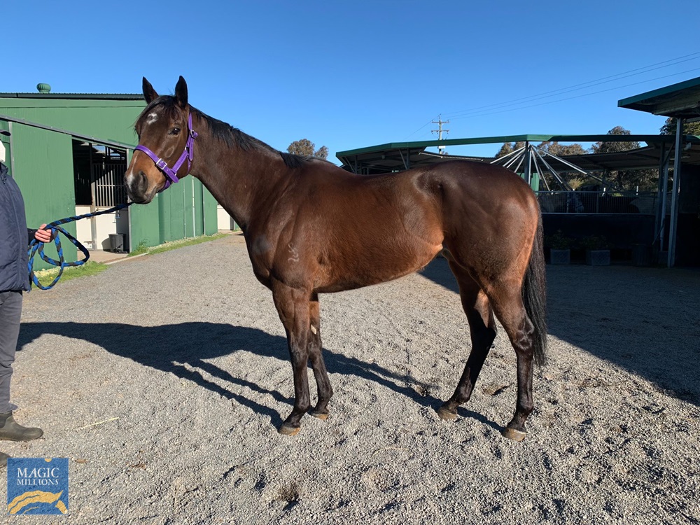 Talihina (AUS) - Image 1