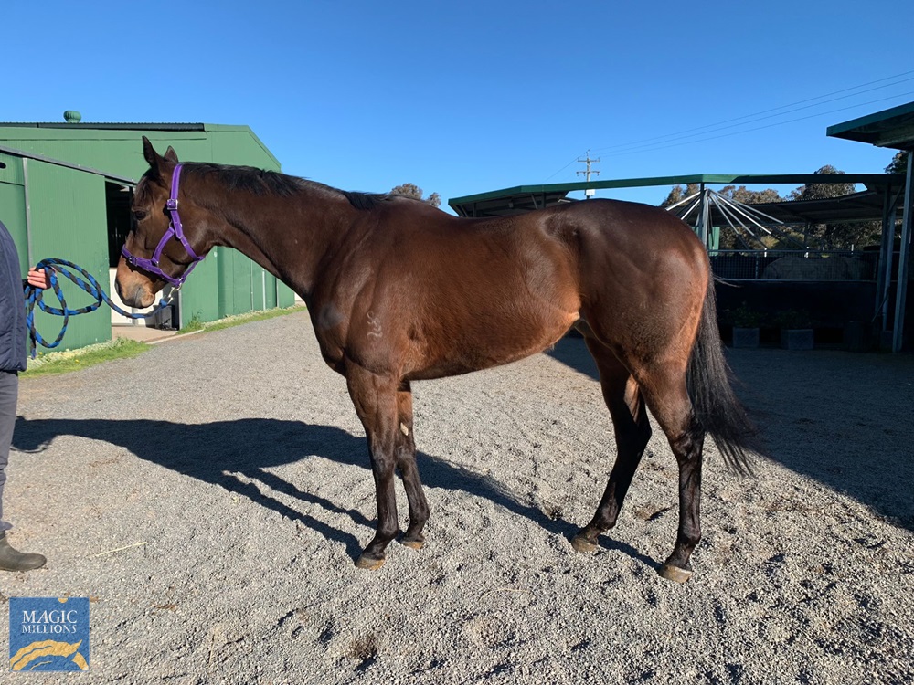 Talihina (AUS) - Image 2