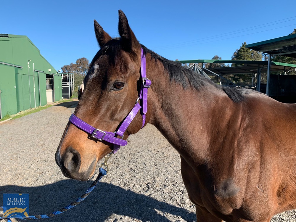 Talihina (AUS) - Image 3