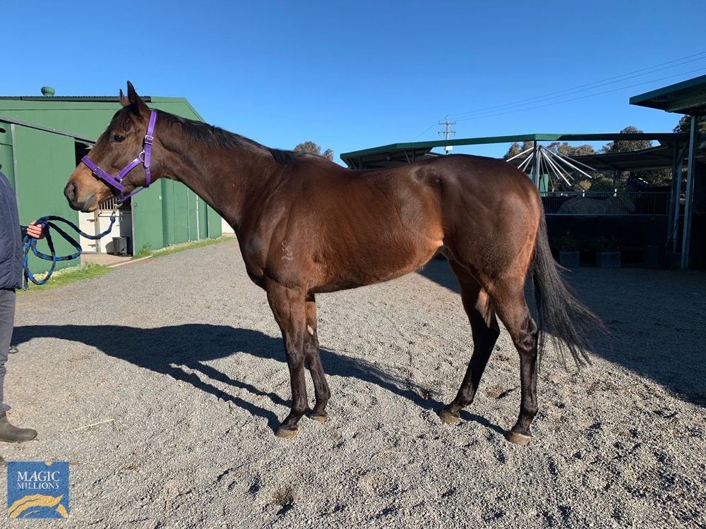 Talihina (AUS) - Image 4