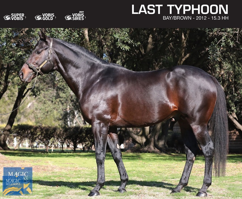 Last Typhoon (AUS) - Image 1