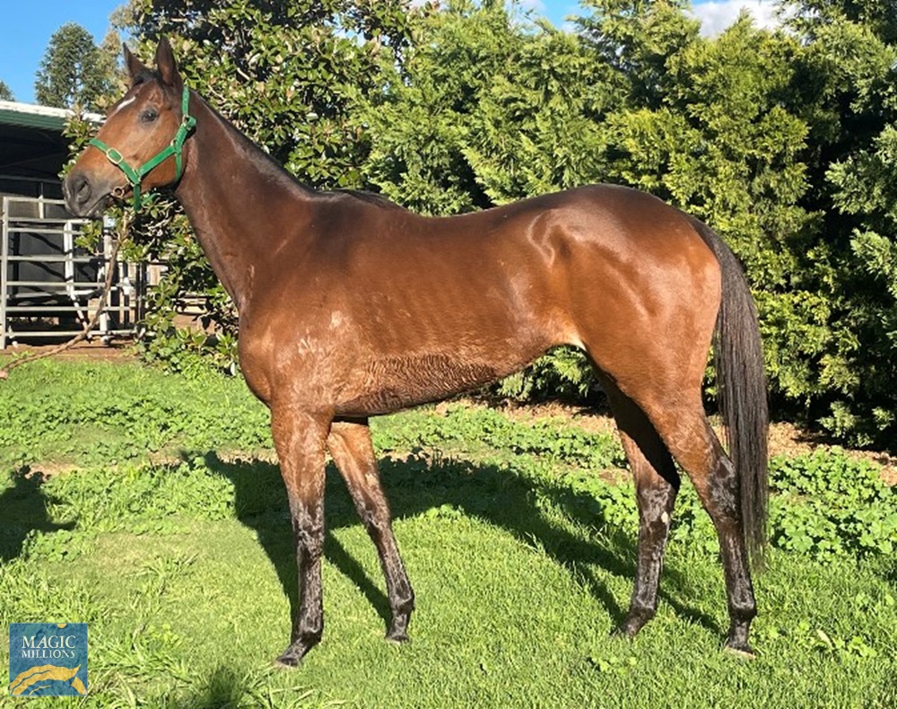 Electric Ellyse (AUS) - Image 2