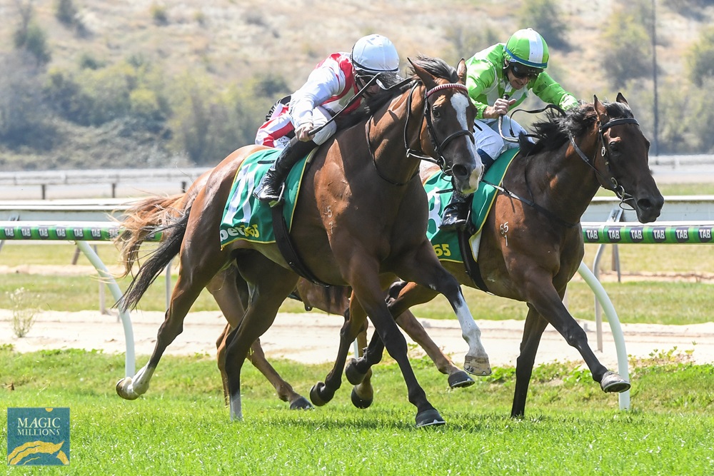 Scissors (AUS) - Image 1