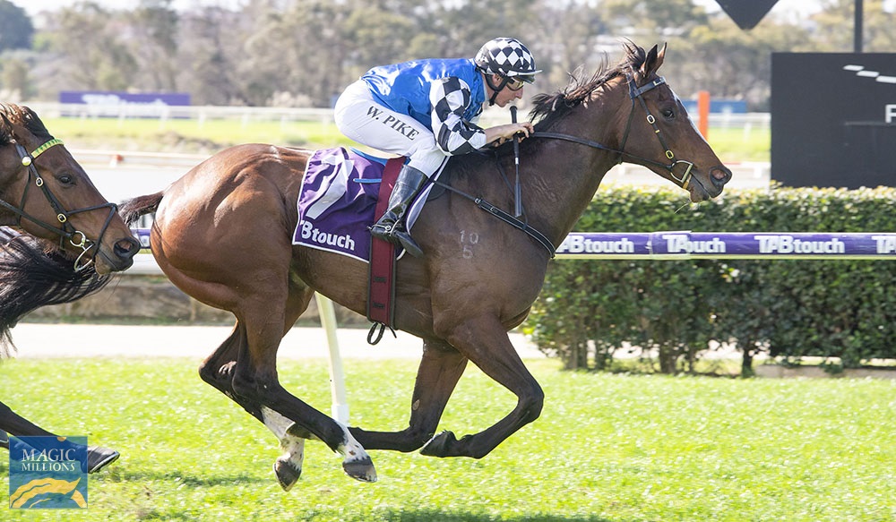 Sumusu (NZ) - Image 2