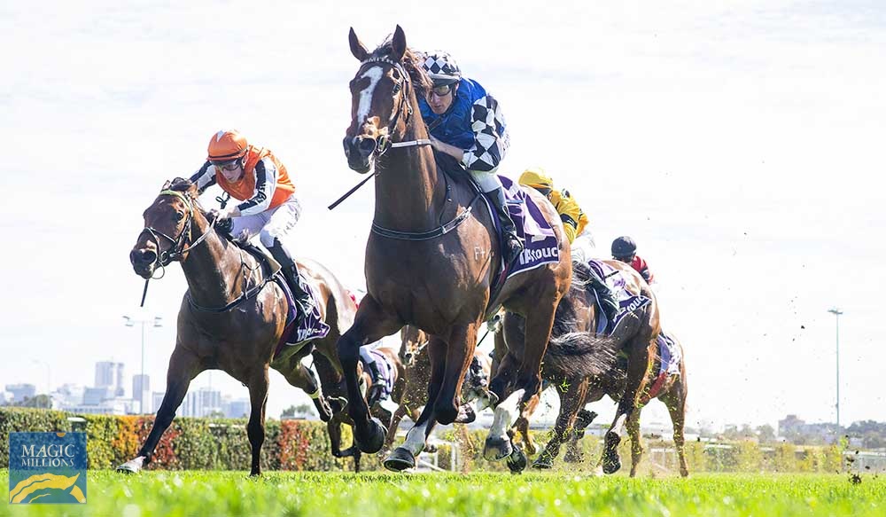 Sumusu (NZ) - Image 3