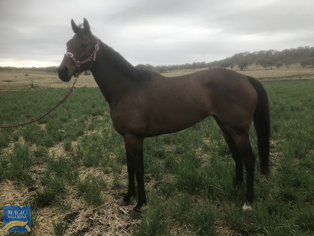 Great Powers (AUS) - Image 1