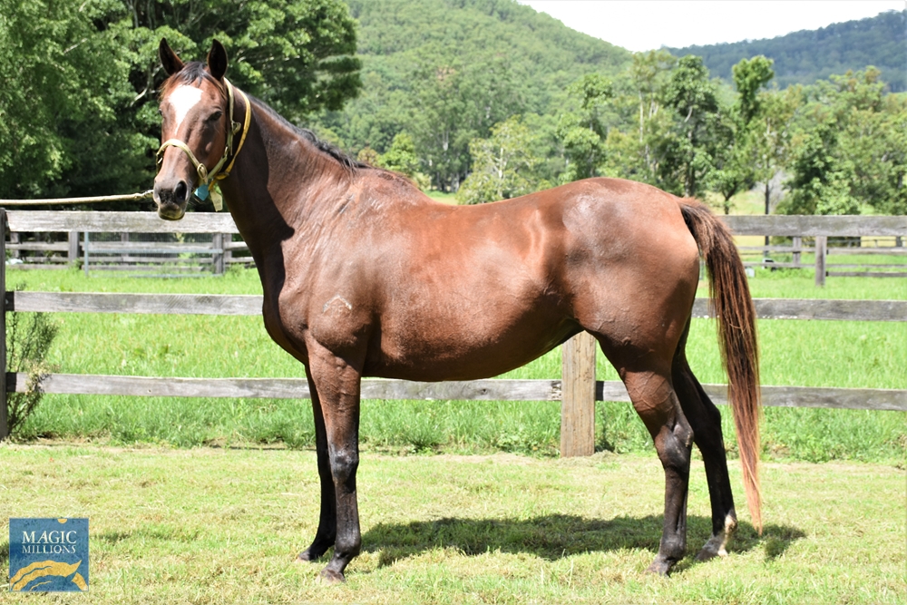 Monaco Express (AUS) - Image 1