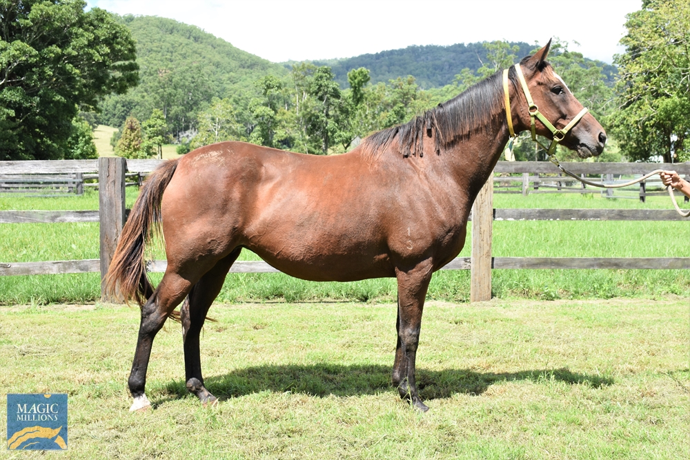 Monaco Express (AUS) - Image 2