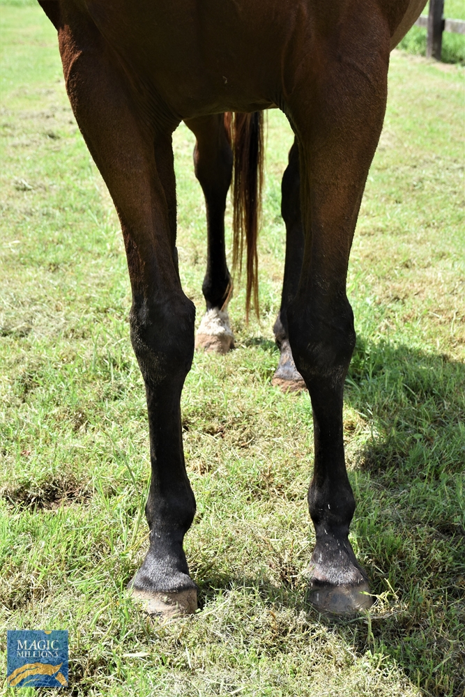 Monaco Express (AUS) - Image 3