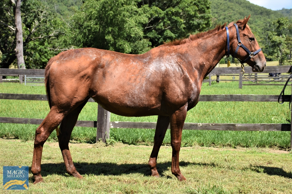 Exceedingly Easy (AUS) - Image 2