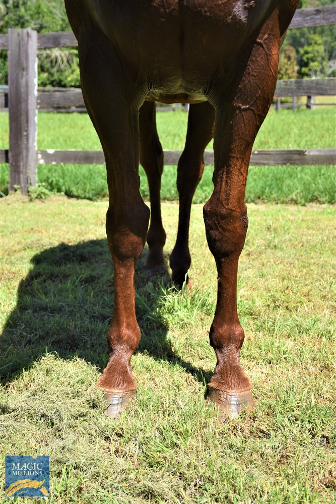 Exceedingly Easy (AUS) - Image 3