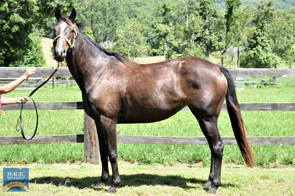 Impairment (AUS) - Image 1