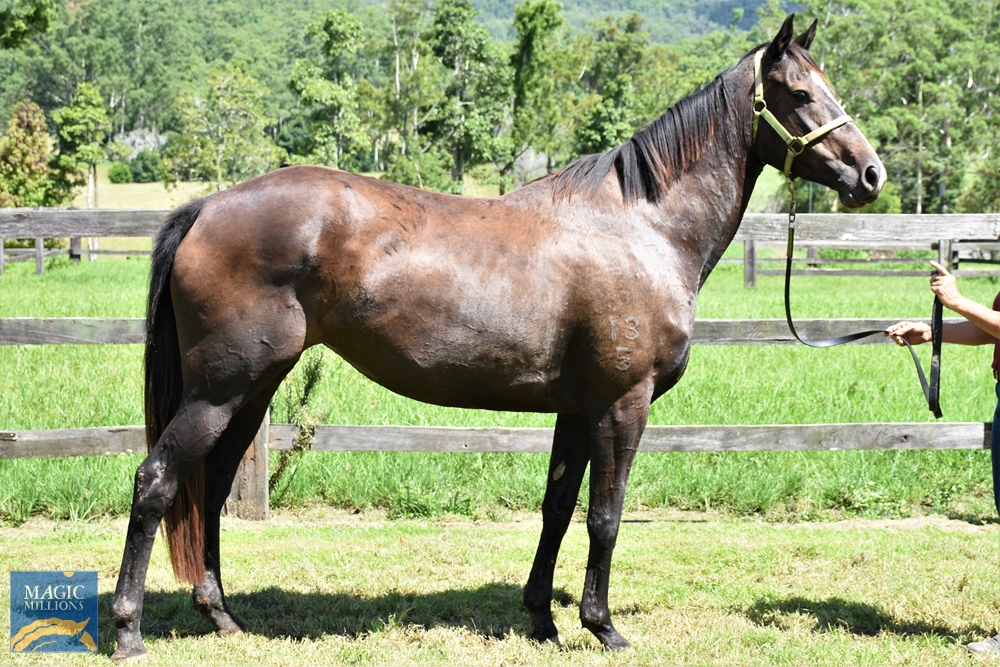 Impairment (AUS) - Image 2